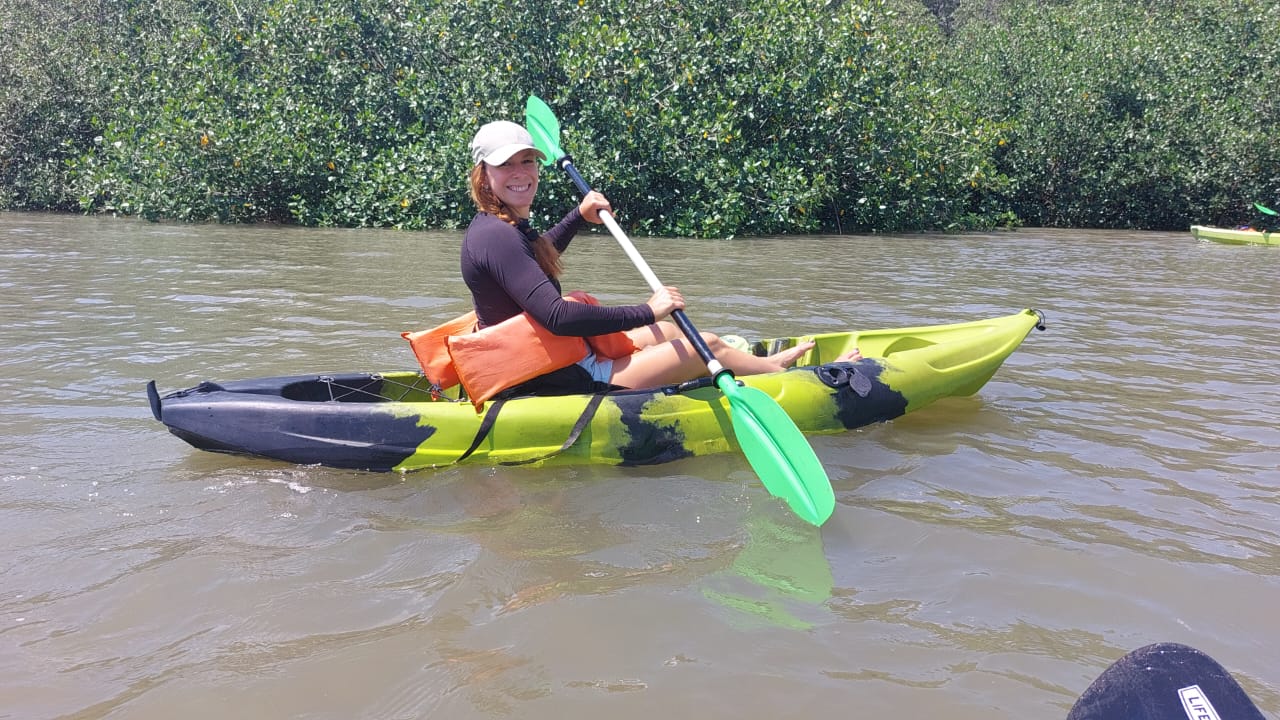 sierpe mangrove tour kayak